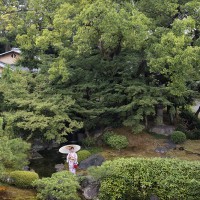 Garden of Gion Palace