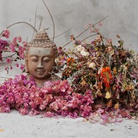 Garden of Dried Flowers