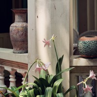Composite of Ceramics and Flowers #1