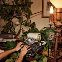 Leaves Novel 