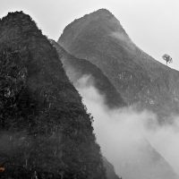 In the mist | Trong sương mù