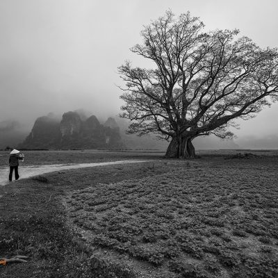 Fine art photo print Thiên nhiên Hoa 