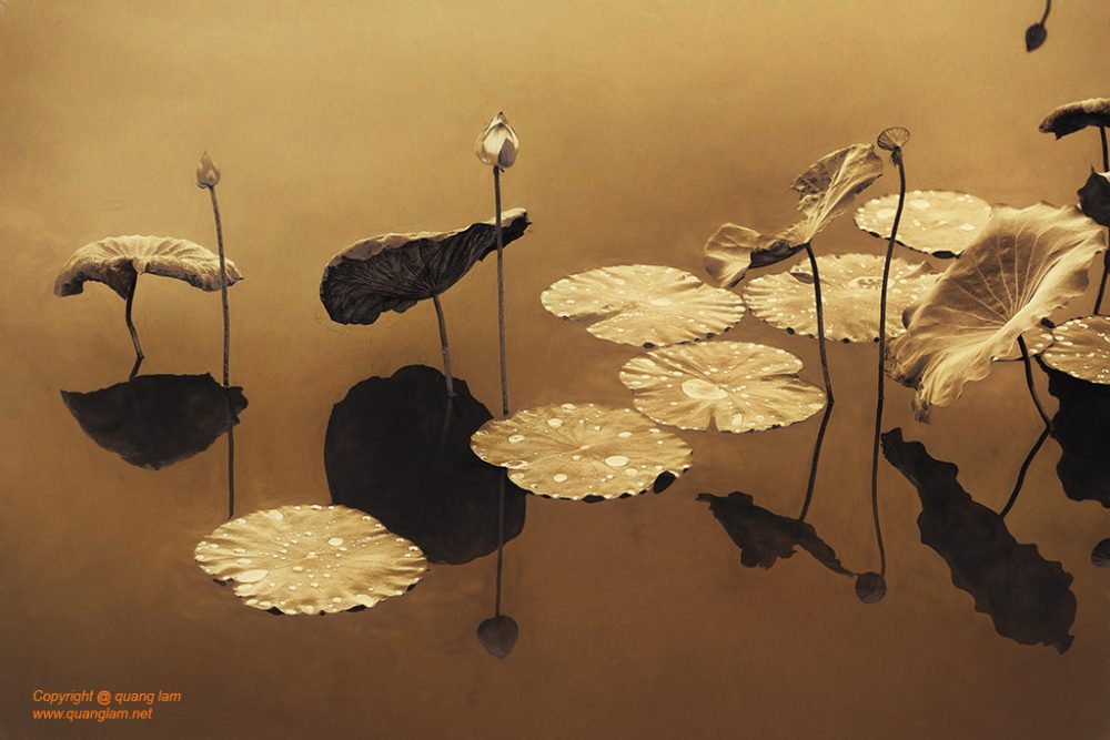 Inlen Fine Art Gallery Photo Print Vietnam Recommended for Religion and Spirituality 