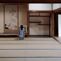 Meditation in ryoan-ji-zen temple