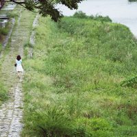 Wander on the Kamo river