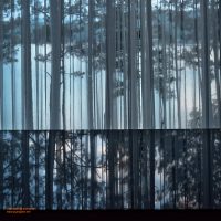 Fine art photo print New Catalog 2025 