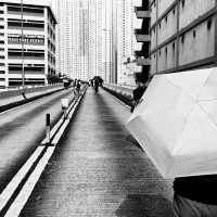 Yellow Umbrella