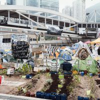 Artists installation and gardens