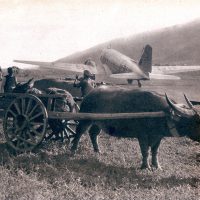 Air vietnam, airline history - field airport