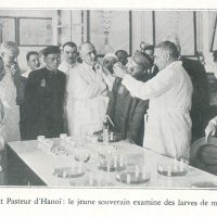 At the Pasteur Institue of Hanoi : the young sovereign examines mosquito larvae.
