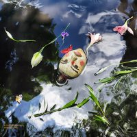 Fine art photo print New Catalog 2025 