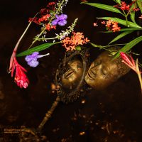Fine art photo print New Catalog 2025 