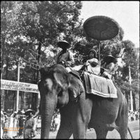 Elephants - Inauguration ceremony for the second term of President Ngo Dinh Diem on the 29th april 1961